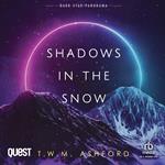 Shadows in the Snow