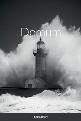 Domum - Julian Berry - cover