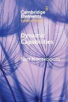Dynamic Capabilities: History and an Extension - Bart Nooteboom - cover