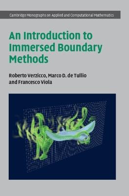 An Introduction to Immersed Boundary Methods - Roberto Verzicco,Marco D. de Tullio,Francesco Viola - cover