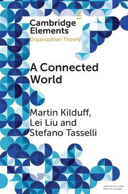 A Connected World: Social Networks and Organizations - Martin Kilduff,Lei Liu,Stefano Tasselli - cover