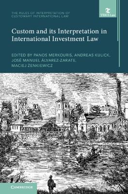 Custom and its Interpretation in International Investment Law: Volume 2 - cover