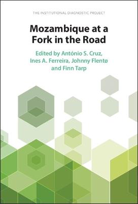 Mozambique at a Fork in the Road: The Institutional Diagnostic Project - cover