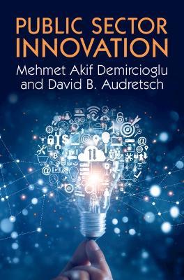 Public Sector Innovation - Mehmet Akif Demircioglu,David B. Audretsch - cover
