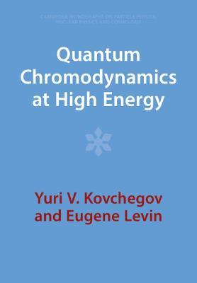 Quantum Chromodynamics at High Energy - Yuri V. Kovchegov,Eugene Levin - cover