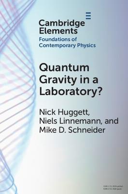 Quantum Gravity in a Laboratory? - Nick Huggett,Niels Linnemann,Mike D. Schneider - cover