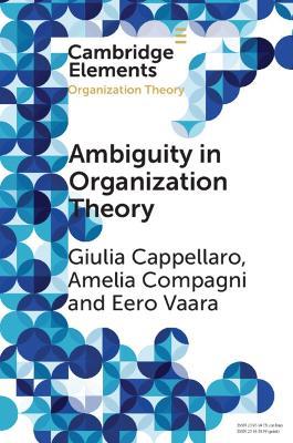 Ambiguity in Organization Theory: From Intrinsic to Strategic Perspectives - Giulia Cappellaro,Amelia Compagni,Eero Vaara - cover