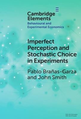 Imperfect Perception and Stochastic Choice in Experiments - Pablo Brañas-Garza,John Alan Smith - cover