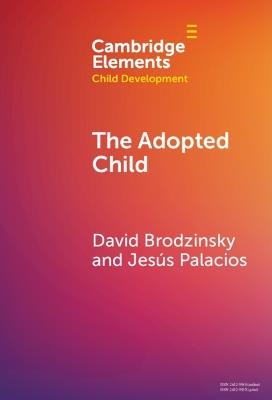The Adopted Child - David Brodzinsky,Jesus Palacios - cover