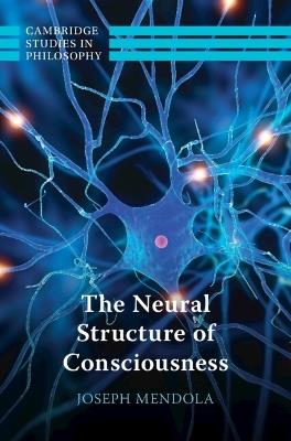 The Neural Structure of Consciousness - Joseph Mendola - cover