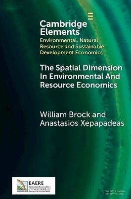 The Spatial Dimension In Environmental and Resource Economics - William Brock,Anastasios Xepapadeas - cover