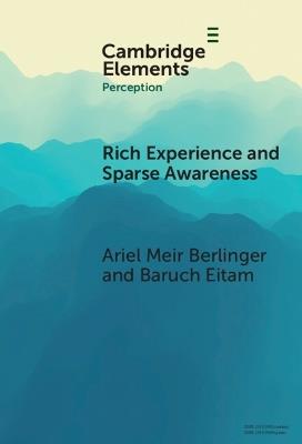 Rich Experience and Sparse Awareness: Sensing More Than We Know - Ariel Meir Berlinger,Baruch Eitam - cover