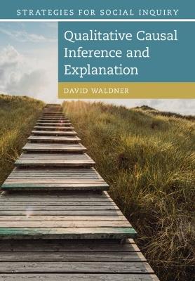 Qualitative Causal Inference and Explanation - David Waldner - cover
