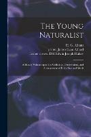 The Young Naturalist: a Handy Volume Upon the Collection, Preservation, and Arrangement of Butterflies and Shells