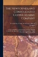 The Newfoundland Consolidated Copper Mining Company [microform]: Capital, $3,000,000: $2,500,000 Fully Paid Stock, $500,000 Treasury Stock; Shares $50 Each: Shares Unassessable; Mines in Notre Dame Bay, Newfoundland