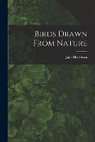 Birds Drawn From Nature - Jane Blackburn - cover