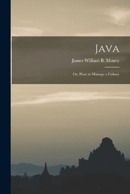 Java; Or, How to Manage a Colony - Money James William B - cover