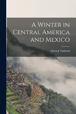 A Winter in Central America and Mexico