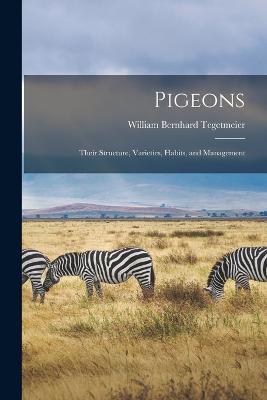 Pigeons: Their Structure, Varieties, Habits, and Management - William Bernhard Tegetmeier - cover
