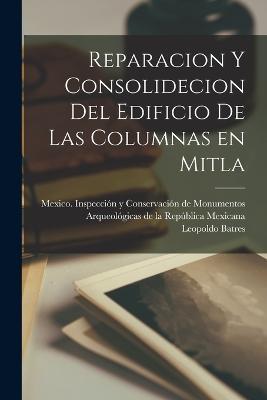 Reparacion y consolidecion del edificio de las columnas en Mitla - Leopoldo Batres - cover