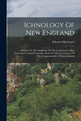 Ichnology Of New England: A Report On The Sandstone Of The Connecticut Valley Especially Its Fossil Footmarks, Made To The Government Of The Commonwealth Of Massachusetts - Edward Hitchcock - cover