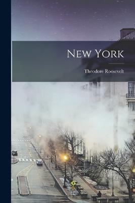New York - Theodore Roosevelt - cover
