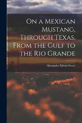 On a Mexican Mustang, Through Texas, From the Gulf to the Rio Grande - Alexander Edwin Sweet - cover
