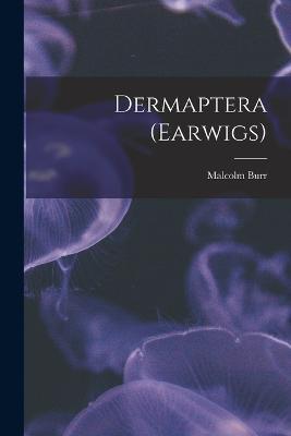 Dermaptera (Earwigs) - Malcolm Burr - cover