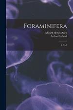 Foraminifera: 6 no 2