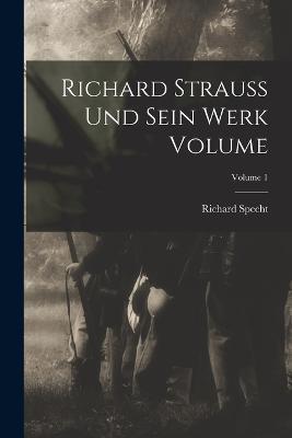 Richard Strauss und sein werk Volume; Volume 1 - Richard Specht - cover