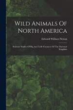 Wild Animals Of North America: Intimate Studies Of Big And Little Creatures Of The Mammal Kingdom
