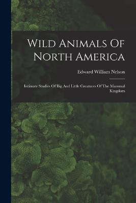 Wild Animals Of North America: Intimate Studies Of Big And Little Creatures Of The Mammal Kingdom - Edward William Nelson - cover