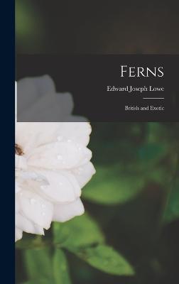 Ferns: British and Exotic - Edward Joseph Lowe - cover