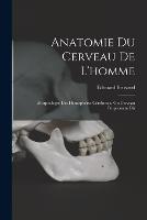 Anatomie Du Cerveau De L'homme: Morphologie Des Hemispheres Cerebraux, Ou Cerveau Proprement Dit - Edouard Brissaud - cover