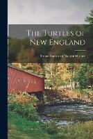 The Turtles of New England - cover