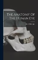 The Anatomy Of The Human Eye
