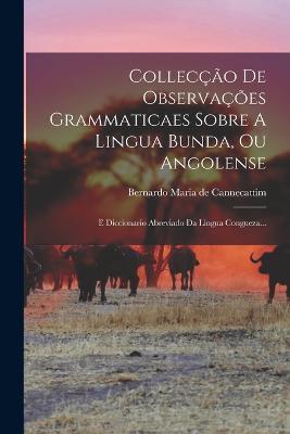 Colleccao De Observacoes Grammaticaes Sobre A Lingua Bunda, Ou Angolense: E Diccionario Abreviado Da Lingua Congueza... - cover