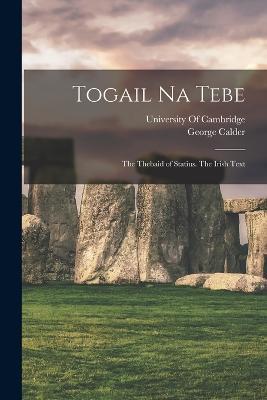 Togail Na Tebe: The Thebaid of Statius. The Irish Text - George Calder - cover