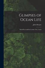 Glimpses of Ocean Life: Rock-Pools and the Lessons They Teach