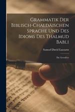 Grammatik der Biblisch-Chaldaischen Sprache und des Idioms des Thalmud Babli: Ein Grundriss