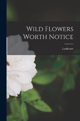 Wild Flowers Worth Notice - Lankester - cover