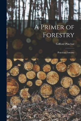 A Primer of Forestry: Practical Forestry - Gifford Pinchot - cover
