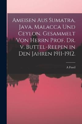 Ameisen aus Sumatra, Java, Malacca und Ceylon. Gesammelt von Herrn Prof. Dr. v. Buttel-Reepen in den Jahren 1911-1912. - A Forel - cover