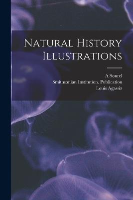 Natural History Illustrations - Jesse Walter Fewkes,Louis Agassiz,A Sonrel - cover
