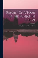 Report Of A Tour In The Punjab In 1878-79