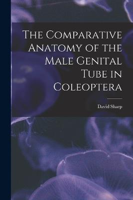 The Comparative Anatomy of the Male Genital Tube in Coleoptera - David Sharp - cover