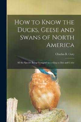 How to Know the Ducks, Geese and Swans of North America: All the Species Being Grouped According to Size and Color - Charles B Cory - cover