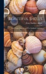 Beautiful Shells: Their Nature, Structure and Uses Familiarly Explained