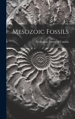 Mesozoic Fossils - cover