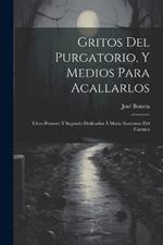 Gritos Del Purgatorio, Y Medios Para Acallarlos: Libro Primero Y Segundo Dedicados Á Maria Santisima Del Carmen